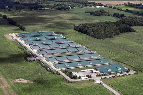 Sacos Nanchang Co., Ltd